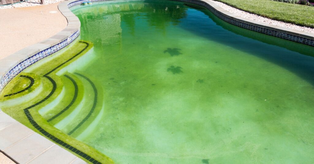 The Ultimate Guide to Maintaining Your Premier Pool